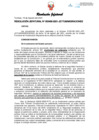 Vista preliminar de documento Resolución Jefatural