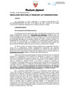 Vista preliminar de documento Resolución Jefatural