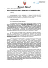 Vista preliminar de documento Resolución Jefatural