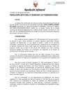 Vista preliminar de documento Resolución Jefatural