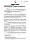 Vista preliminar de documento Resolución Jefatural
