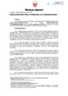 Vista preliminar de documento Resolución Jefatural