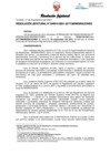 Vista preliminar de documento Resolución Jefatural