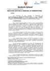 Vista preliminar de documento Resolución Jefatural