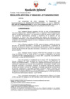 Vista preliminar de documento Resolución Jefatural