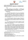 Vista preliminar de documento Resolución Jefatural