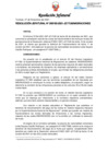 Vista preliminar de documento Resolución Jefatural