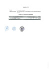 Vista preliminar de documento Anexo 1