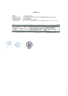 Vista preliminar de documento Anexo 2