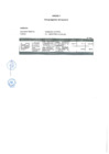 Vista preliminar de documento Anexo 1