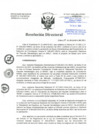 Vista preliminar de documento RD-420-2021-DG-HNHU.pdf