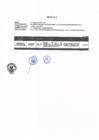 Vista preliminar de documento Anexo 2