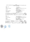 Vista preliminar de documento Anexo 1
