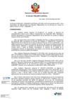 Vista preliminar de documento Resolución de Coordinación Ejecutiva N°028-2021-PMSJMPP-EJEPENAL.pdf