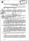 Vista preliminar de documento 217-2021-GODUR.pdf