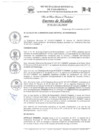 Vista preliminar de documento DECRETO-DE-ALCALDÍA-N°-4-2017-AL-MDP