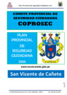 Vista preliminar de documento PLAN_PROVINCIAL_CANETE_2016.pdf
