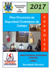 Vista preliminar de documento PLAN_PROVINCIAL_2017_CAÑETE.PDF