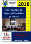 Vista preliminar de documento 03-PLAN_PROVINCIAL_2018.pdf