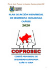 Vista preliminar de documento PLAN_ACCION_PROVINCIAL_SEGURIDAD_CIUDADANA_2020.pdf