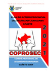 Vista preliminar de documento PLAN_ACCION_PROVINCIAL_SEGURIDAD_CIUDADANA_2021.pdf