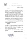 Vista preliminar de documento RG_233-2020.pdf