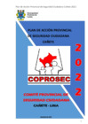 Vista preliminar de documento PLAN_DE_ACCION_PROVINCIAL_DE_SEGURIDAD_CIUDADANA_CANETE_2022.pdf