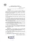 Vista preliminar de documento RG_230-2020.pdf