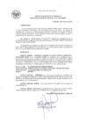 Vista preliminar de documento RG_217-2020.pdf