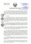 Vista preliminar de documento RD-411-2021-DG-HNHU.pdf