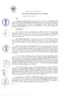 Vista preliminar de documento RG_165-2020.pdf