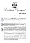 Vista preliminar de documento RD 001-2021-INPE-OPII.pdf