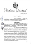 Vista preliminar de documento RD 002-2021-INPE-OPII.pdf