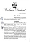 Vista preliminar de documento RD 004-2021-INPE-OPII.pdf