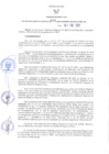 Vista preliminar de documento RER N° 001-2022