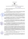 Vista preliminar de documento RER N° 005-2022