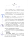 Vista preliminar de documento RER N° 010-2022