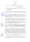 Vista preliminar de documento RER N° 011-2022