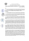 Vista preliminar de documento RG_138-2020.pdf