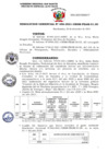 Vista preliminar de documento RG 456-2021