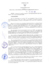 Vista preliminar de documento RER N°13-2022-GR