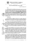 Vista preliminar de documento RG_691-2021.pdf