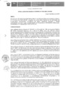 Vista preliminar de documento resolucion-015-2020-CVH-GG.pdf
