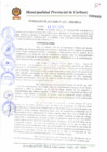 Vista preliminar de documento N° 303-2010.pdf