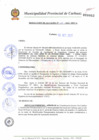 Vista preliminar de documento N° 310-2010.pdf