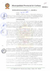 Vista preliminar de documento N° 311-2010.pdf