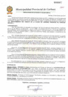 Vista preliminar de documento N° 316-2010.pdf