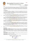 Vista preliminar de documento N° 317-2010.pdf