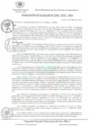 Vista preliminar de documento Resolución de Alcaldía