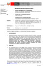 Vista preliminar de documento Informe N° 00003-2022-SENACE-PE/DEAR